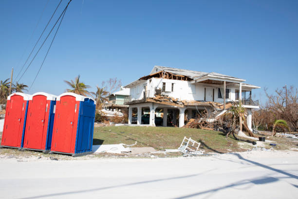 Best Emergency Tree Removal  in Pinellas Park, FL